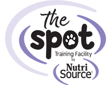 The Spot logo