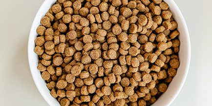 Dry Dog & Cat Kibble - pet food co-manufacturing and private label solutions